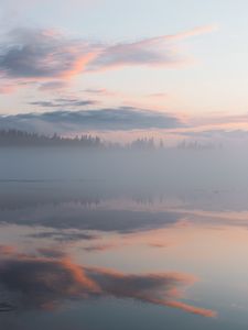 Preview wallpaper fog, trees, reflection, clouds