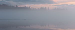 Preview wallpaper fog, trees, reflection, clouds