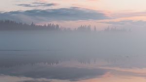 Preview wallpaper fog, trees, reflection, clouds