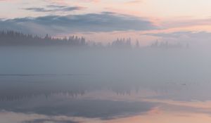 Preview wallpaper fog, trees, reflection, clouds