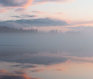 Preview wallpaper fog, trees, reflection, clouds