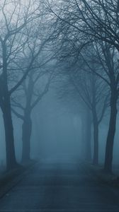 Preview wallpaper fog, trees, road, haze, nature