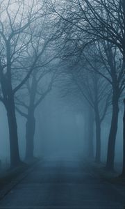 Preview wallpaper fog, trees, road, haze, nature