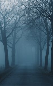 Preview wallpaper fog, trees, road, haze, nature
