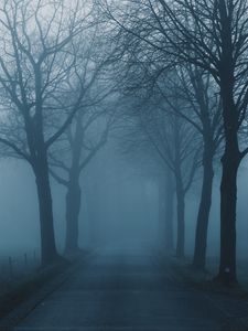 Preview wallpaper fog, trees, road, haze, nature