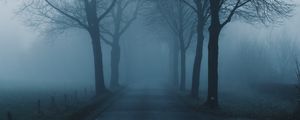 Preview wallpaper fog, trees, road, haze, nature