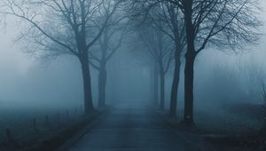 Preview wallpaper fog, trees, road, haze, nature