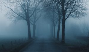 Preview wallpaper fog, trees, road, haze, nature