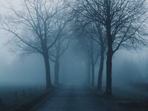 Preview wallpaper fog, trees, road, haze, nature