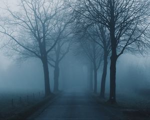 Preview wallpaper fog, trees, road, haze, nature