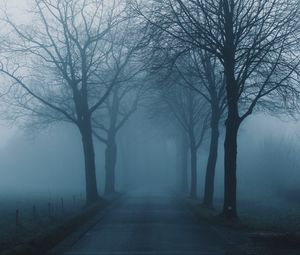 Preview wallpaper fog, trees, road, haze, nature