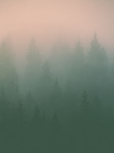 Preview wallpaper fog, trees, silhouettes, haze