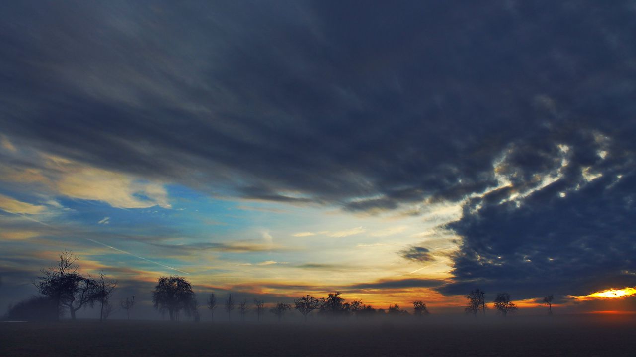 Wallpaper fog, trees, sky, clouds