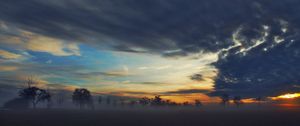 Preview wallpaper fog, trees, sky, clouds