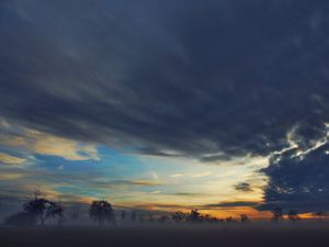 Preview wallpaper fog, trees, sky, clouds