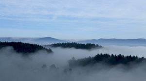 Preview wallpaper fog, trees, sky