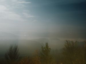Preview wallpaper fog, trees, starry sky, night