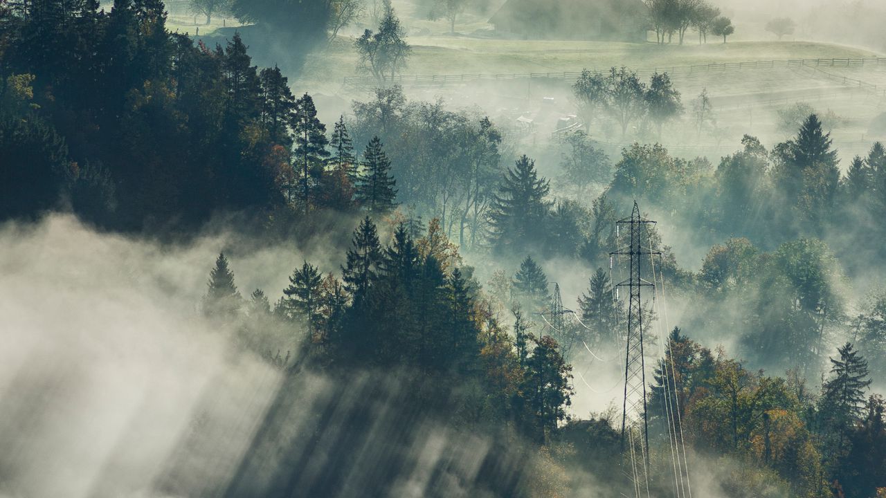 Wallpaper fog, trees, top view, forest, bled, slovenia