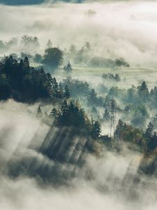 Preview wallpaper fog, trees, top view, forest, bled, slovenia