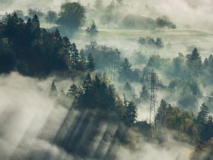 Preview wallpaper fog, trees, top view, forest, bled, slovenia