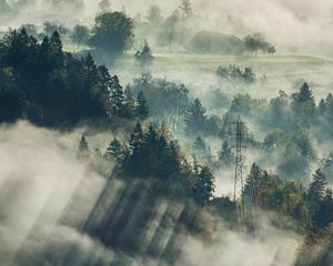 Preview wallpaper fog, trees, top view, forest, bled, slovenia