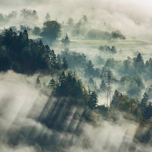 Preview wallpaper fog, trees, top view, forest, bled, slovenia