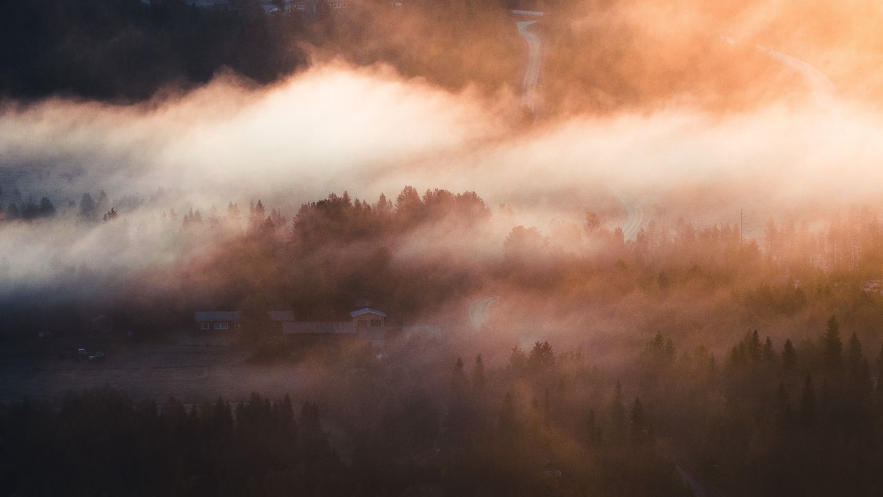 Wallpaper fog, trees, village, aerial view