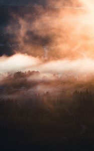 Preview wallpaper fog, trees, village, aerial view