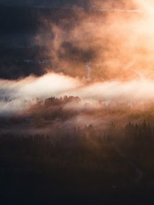 Preview wallpaper fog, trees, village, aerial view