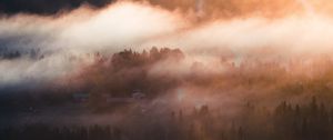 Preview wallpaper fog, trees, village, aerial view