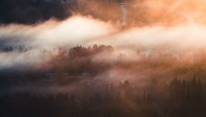 Preview wallpaper fog, trees, village, aerial view