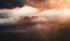 Preview wallpaper fog, trees, village, aerial view