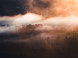 Preview wallpaper fog, trees, village, aerial view