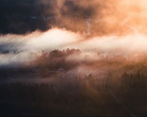 Preview wallpaper fog, trees, village, aerial view