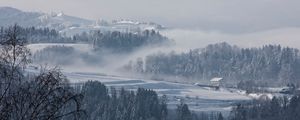 Preview wallpaper fog, winter, trees, fir, snow, switzerland