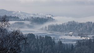 Preview wallpaper fog, winter, trees, fir, snow, switzerland