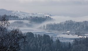 Preview wallpaper fog, winter, trees, fir, snow, switzerland