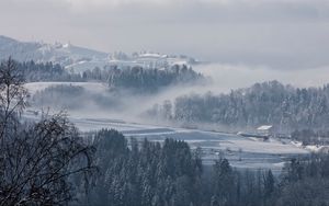 Preview wallpaper fog, winter, trees, fir, snow, switzerland