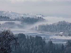 Preview wallpaper fog, winter, trees, fir, snow, switzerland