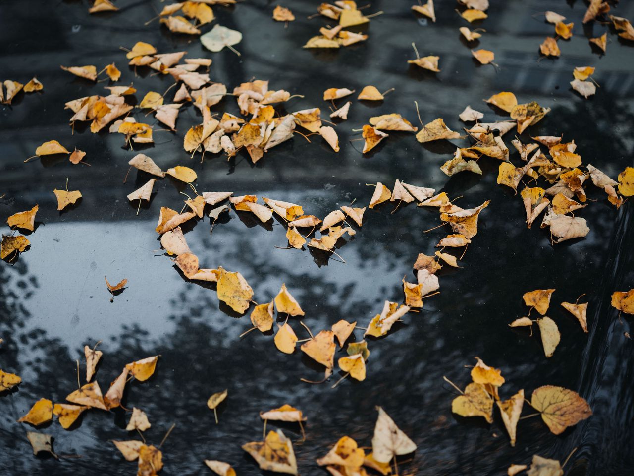 1280x960 Wallpaper foliage, autumn, heart, dry, fallen