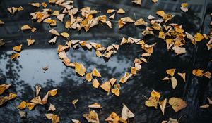 Preview wallpaper foliage, autumn, heart, dry, fallen