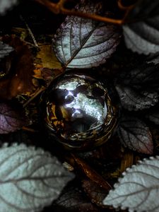 Preview wallpaper foliage, ball, glitter
