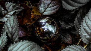 Preview wallpaper foliage, ball, glitter