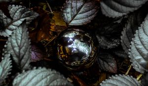 Preview wallpaper foliage, ball, glitter