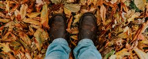 Preview wallpaper foliage, feet, autumn, fallen