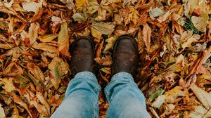 Preview wallpaper foliage, feet, autumn, fallen
