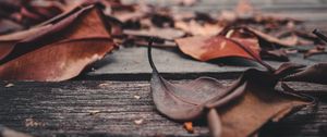 Preview wallpaper foliage, leaves, autumn, boards, wooden