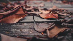 Preview wallpaper foliage, leaves, autumn, boards, wooden