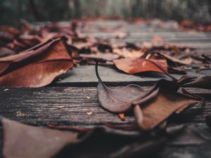 Preview wallpaper foliage, leaves, autumn, boards, wooden
