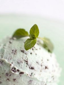 Preview wallpaper food, ice cream, mint, white, green